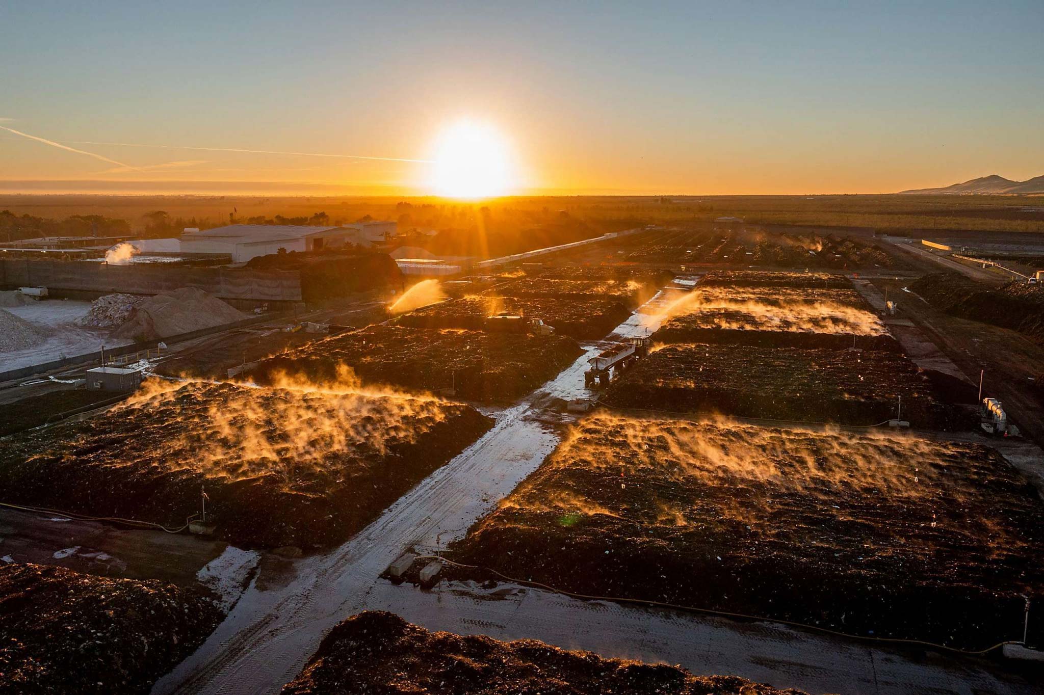 It is sunrise over a vast compost yard. Steam rises from the piles of compost.